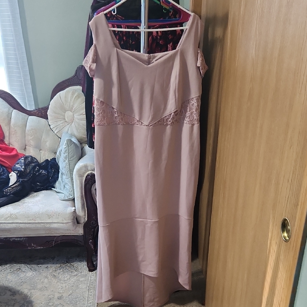 Enfocus Studio Blush Maxi Dress with Lace Detail